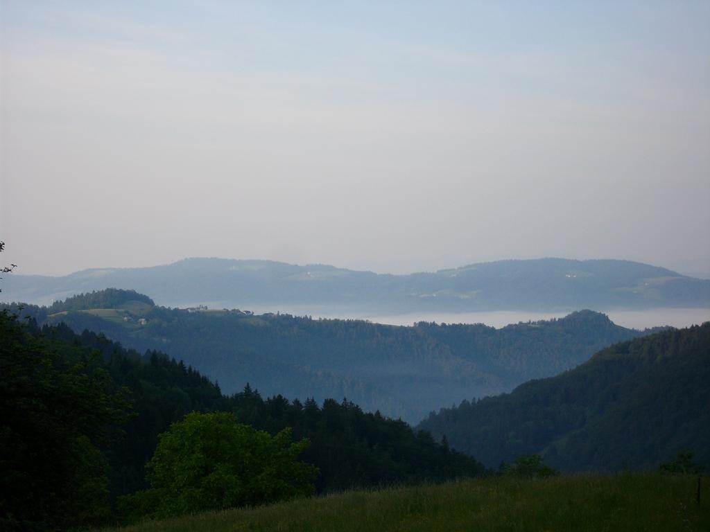 Gostilna Pension Blegos Poljane nad Škofjo Loko Exterior foto